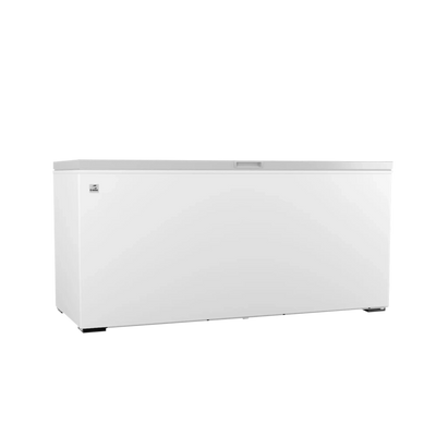 CTCC-25 AI | Conservador de Congelados con puerta solida de Acero Inox. 25 ft³